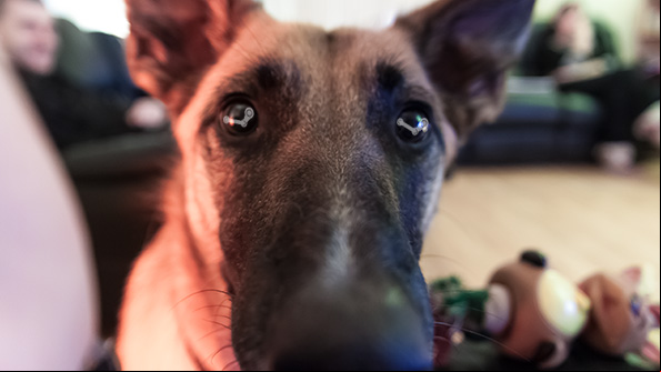 Steam Machine - Dog