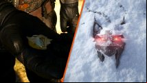 The Witcher 4: what is the School of the Lynx?