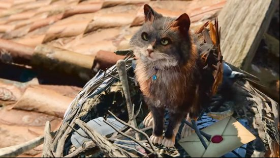 Baldur's Gate 3 spells, Find Familiar: A Tressym, or a winged cat, sits in a nest looking up at someone.